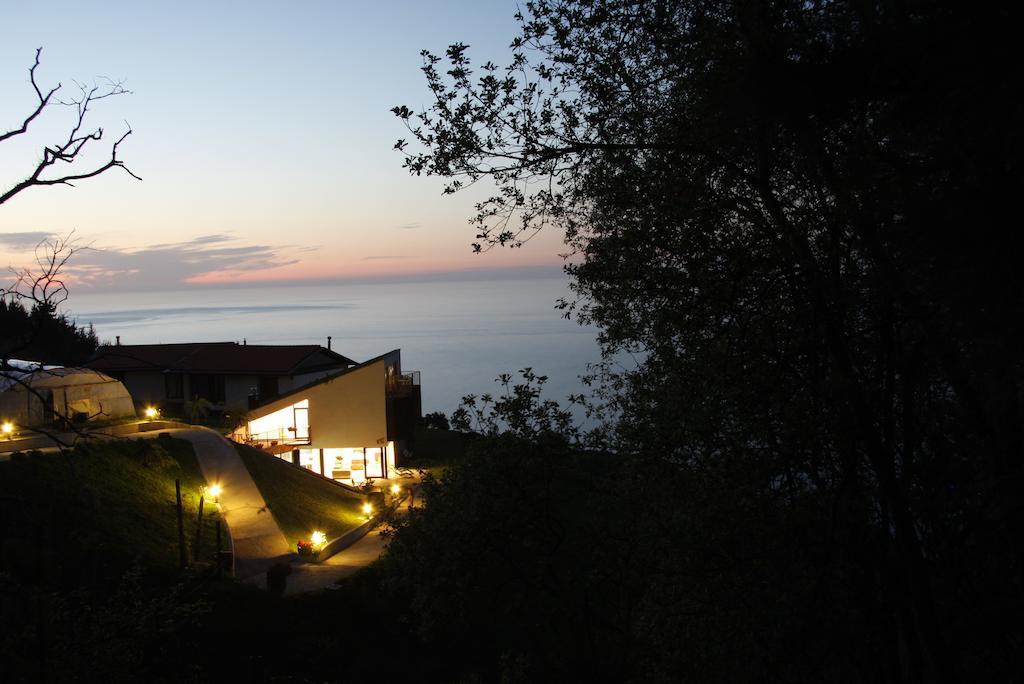 מוטריקו Agroturismo Haitzalde B&B - Adults Only מראה חיצוני תמונה